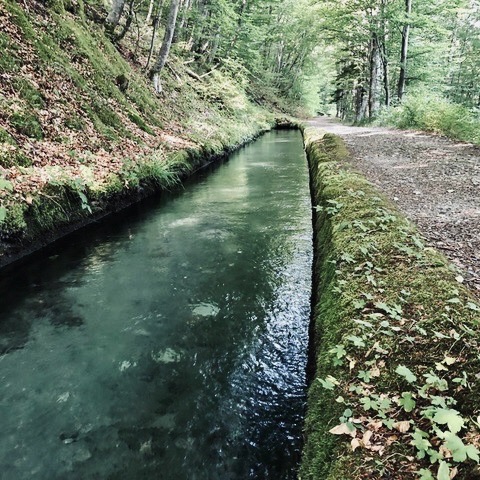 Canal d'eau claire bordé de forêt dans le Valbonnais