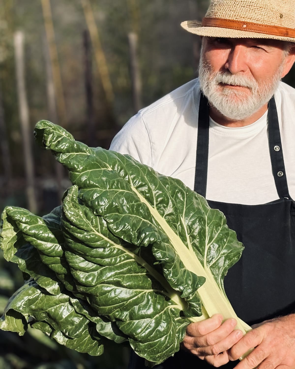 Thierry Fass dans le jardin du Clos, à Brézins